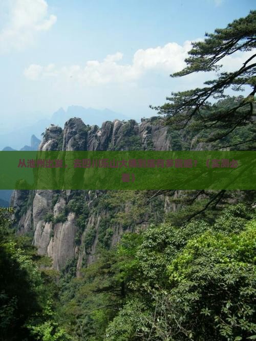 池州去四川乐山大佛旅游