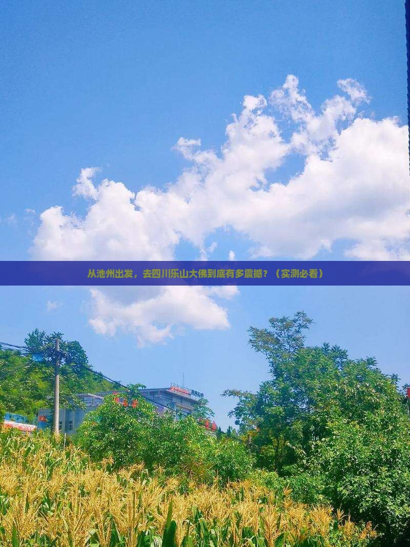 池州去四川乐山大佛旅游