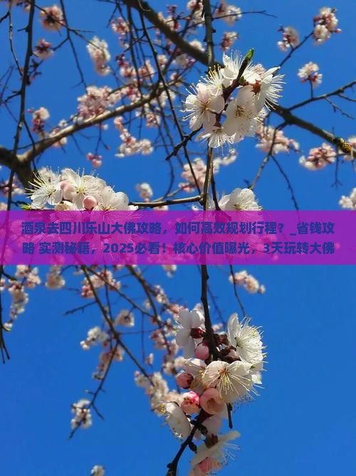 酒泉去四川乐山大佛攻略
