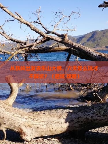 铁岭去四川乐山大佛六日游 铁岭去四川乐山大佛六日游