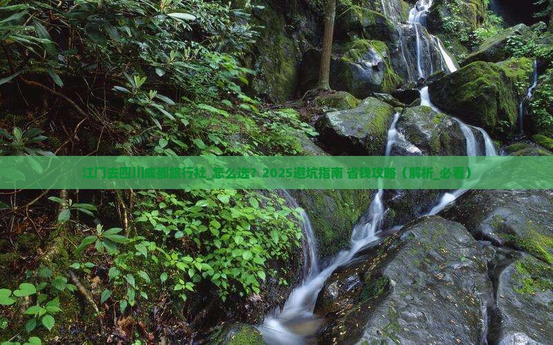 江门去四川成都旅行社