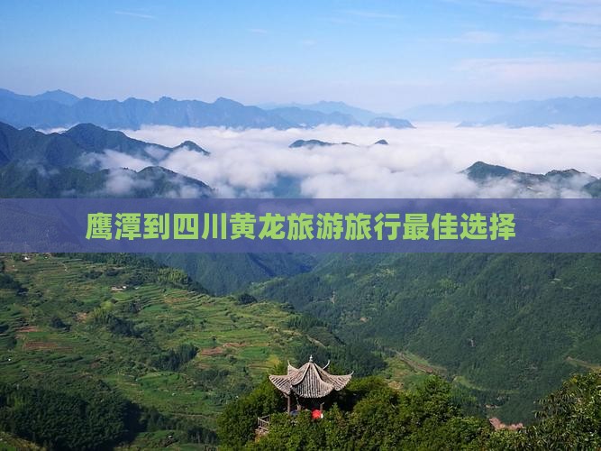 鹰潭去四川黄龙旅行社