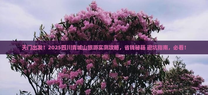 天门到四川青城山旅游