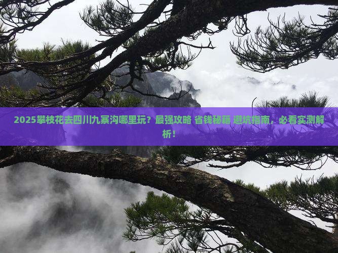 攀枝花去四川九寨沟哪里玩