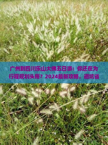 广州到四川乐山大佛五日游