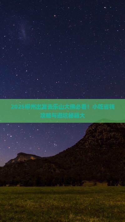 柳州去四川乐山大佛旅游小吃