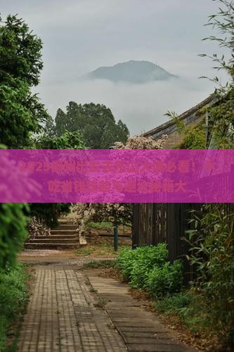 柳州去四川乐山大佛旅游小吃