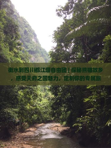 衡水到四川都江堰自由团