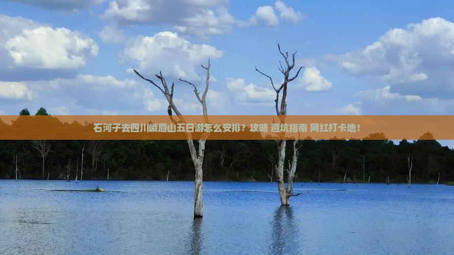 石河子去四川峨眉山五日游
