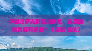 伊犁哈萨克到四川黄龙攻略