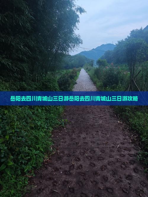 岳阳去四川青城山三日游