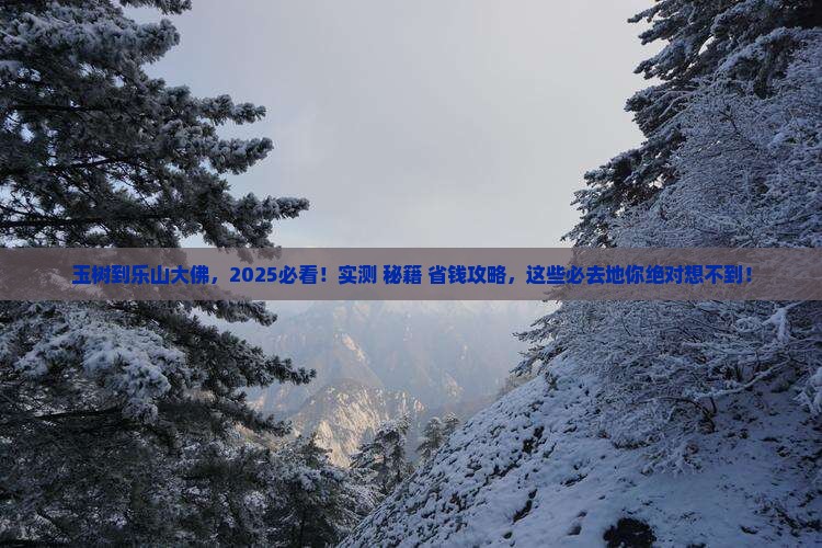 玉树到四川乐山大佛必去地