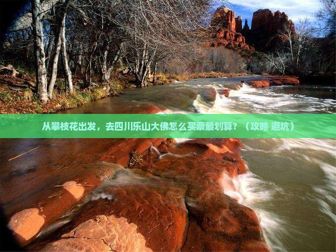 攀枝花去四川乐山大佛门票