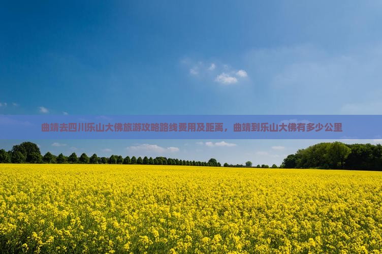 曲靖去四川乐山大佛旅游