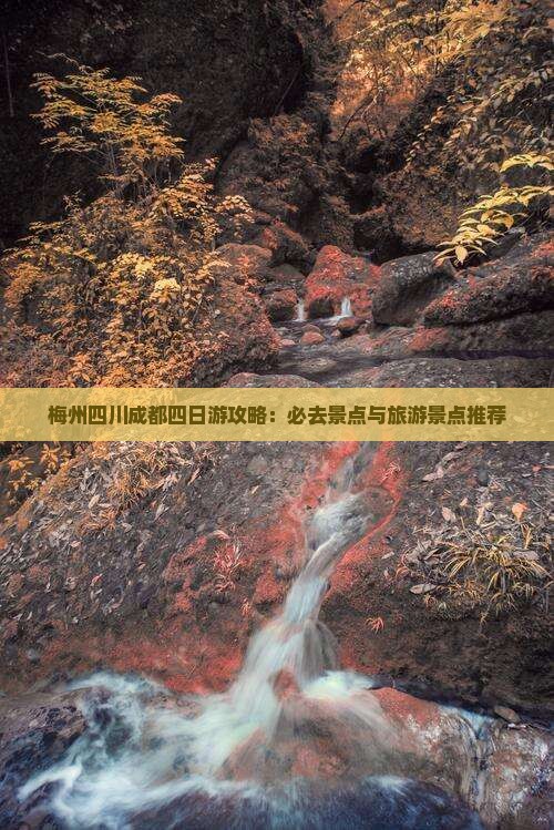 梅州到四川成都四日游