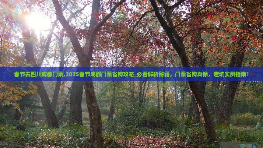 春节去四川成都门票