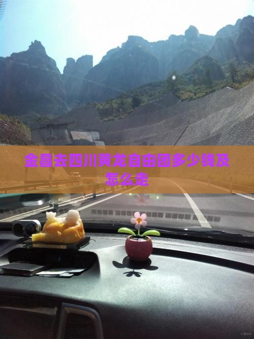 金昌去四川黄龙自由团