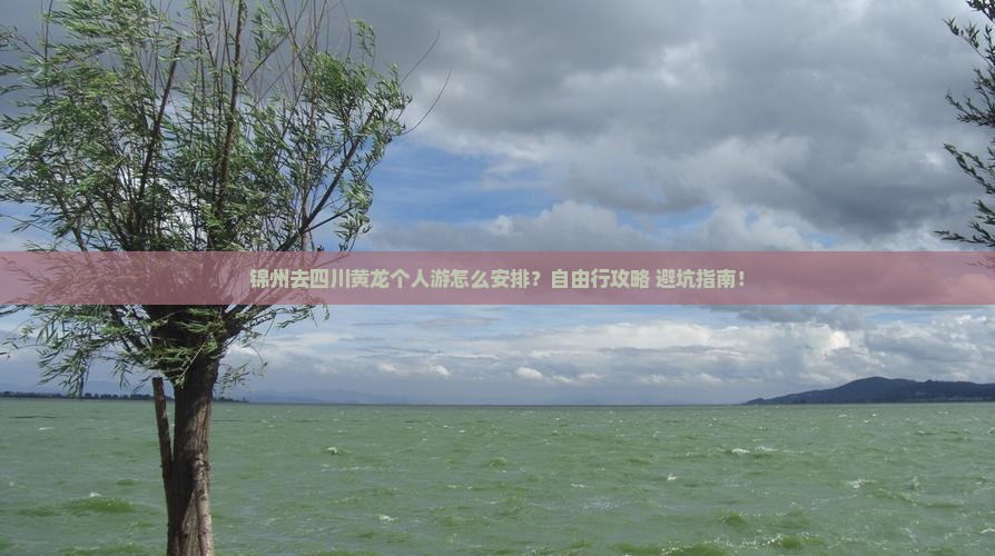 锦州去四川黄龙个人游