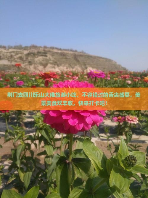 荆门去四川乐山大佛旅游小吃