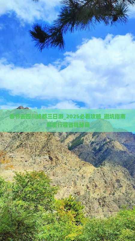 春节去四川成都三日游