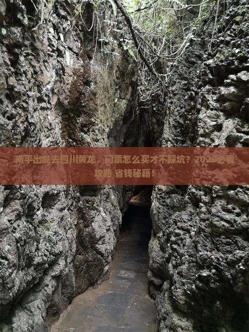 南平到四川黄龙门票