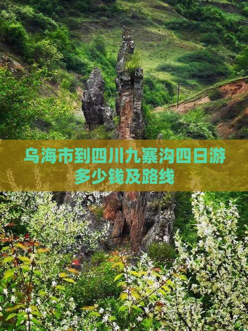 乌海市到四川九寨沟四日游
