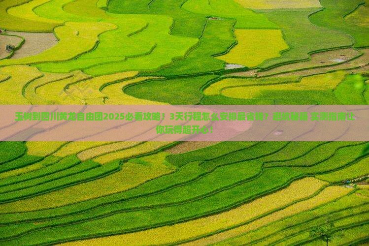 玉树到四川黄龙自由团