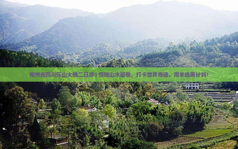 梅州去四川乐山大佛二日游