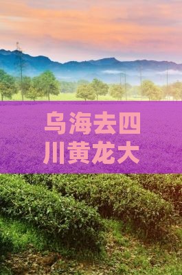 乌海去四川黄龙大型旅游团 乌海去四川黄龙大型旅游团