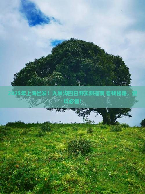上海去四川九寨沟四日游