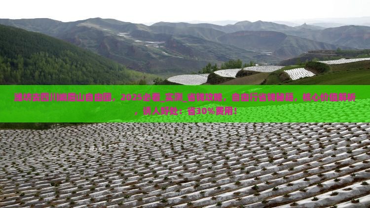 潍坊去四川峨眉山自由团
