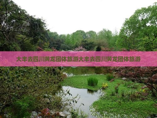 大丰去四川黄龙团体旅游