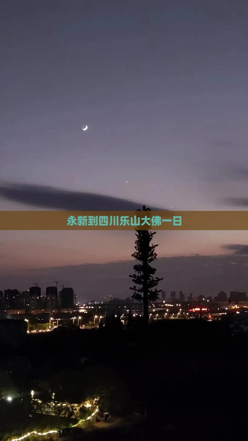 永新到四川乐山大佛一日