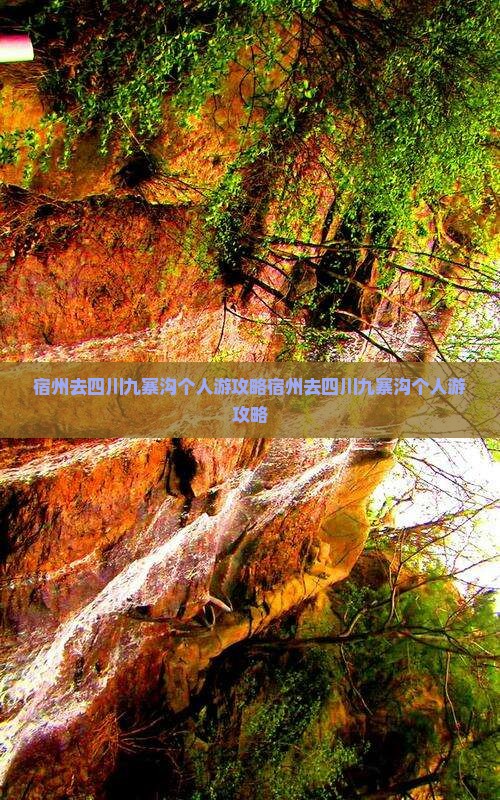 宿州去四川九寨沟个人游