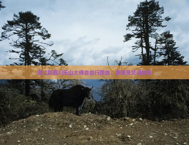潜江到四川乐山大佛自由行