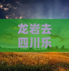 龙岩去四川乐山大佛自由团