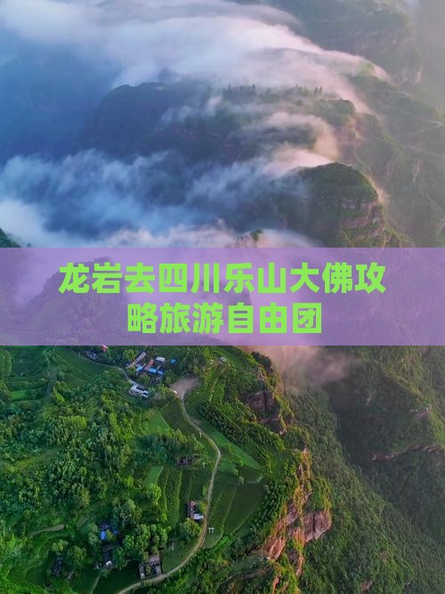龙岩去四川乐山大佛自由团