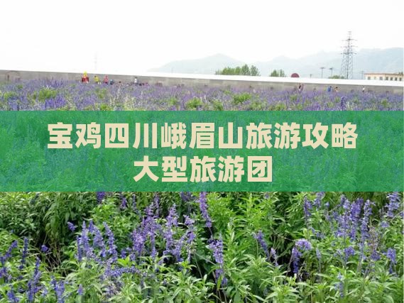 宝鸡去四川峨眉山大型旅游团