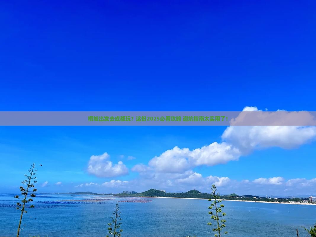 桐城去四川成都景点