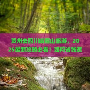 贺州去四川峨眉山旅游