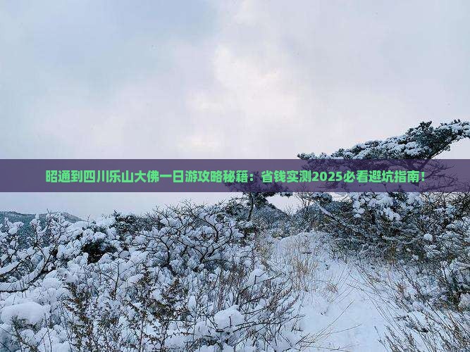 昭通到四川乐山大佛一日