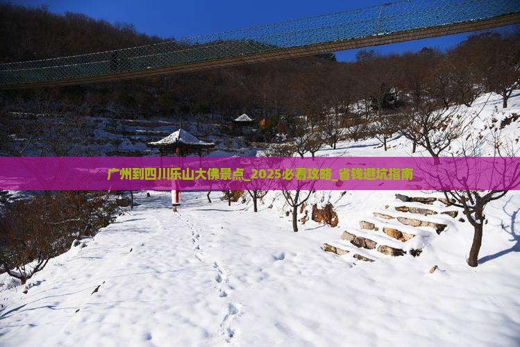 广州到四川乐山大佛景点