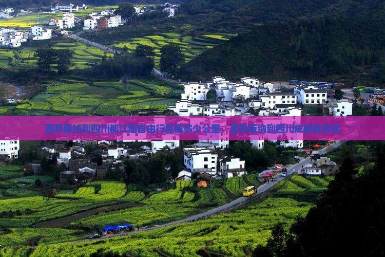 西双版纳到四川都江堰自由行