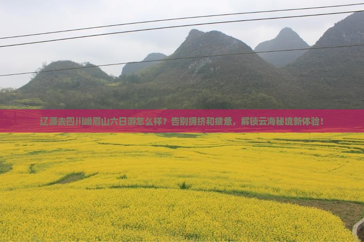 辽源去四川峨眉山六日游