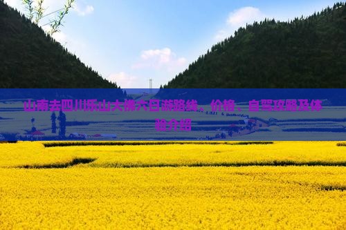 山南去四川乐山大佛六日游