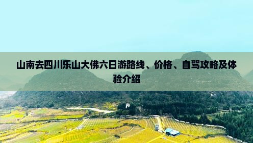 山南去四川乐山大佛六日游