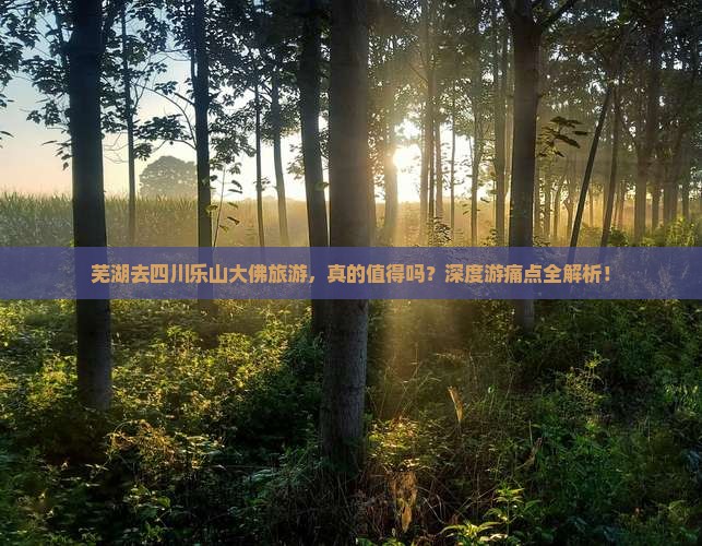 芜湖去四川乐山大佛旅游