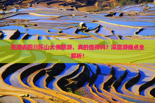 芜湖去四川乐山大佛旅游