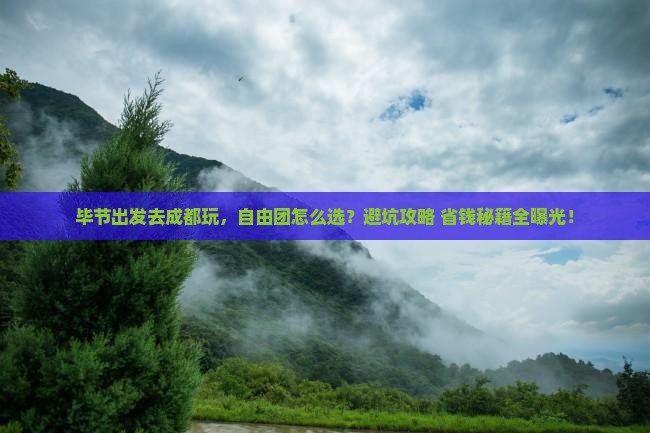 毕节到四川成都自由团
