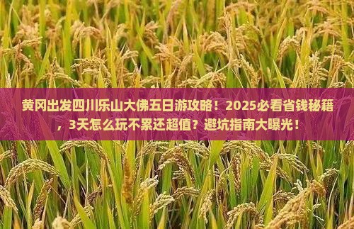 黄冈到四川乐山大佛五日游